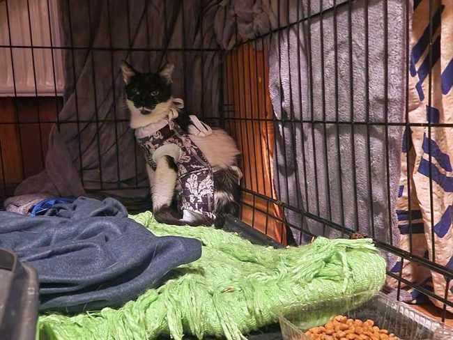 5 GODZIN DO KOŃCA ZBIÓRKI ‼️

A od 8 dni NIKT nie pomógł 😭😭

ratujemyzwierzaki.pl/guzik-i-pinezk…