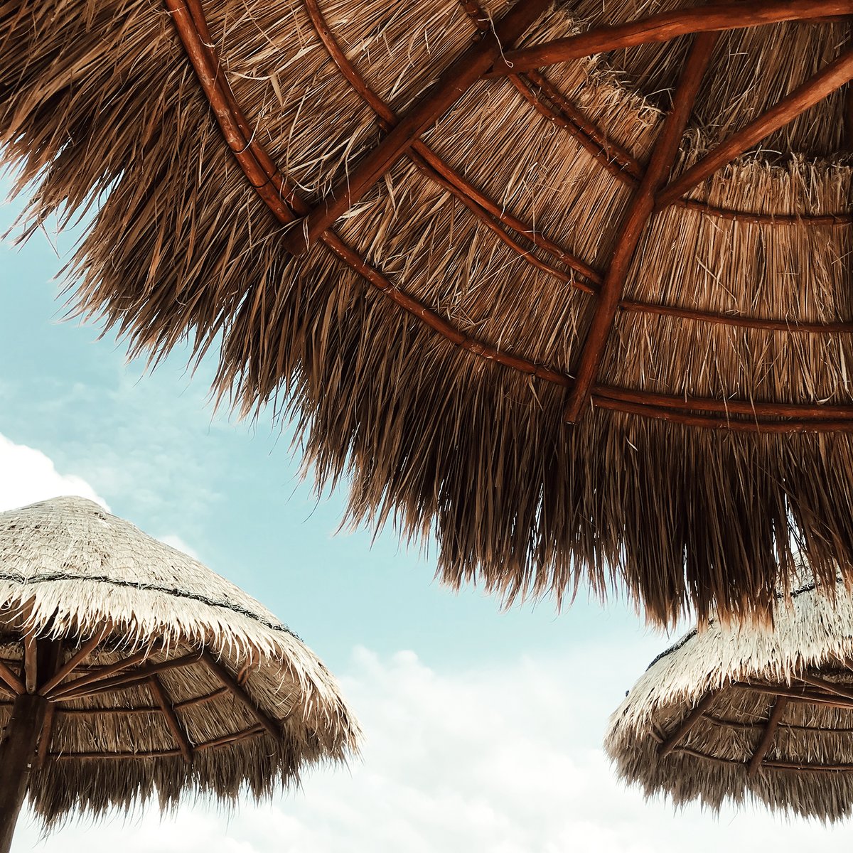 KirkandSweeney's tweet photo. Cold weather has us dreaming of tropical beaches and Kirk and Sweeney Mai Tais. 🌴

#kirkandsweeney #dominicanrum #worthpursuing https://t.co/nzrxQmBwi6
