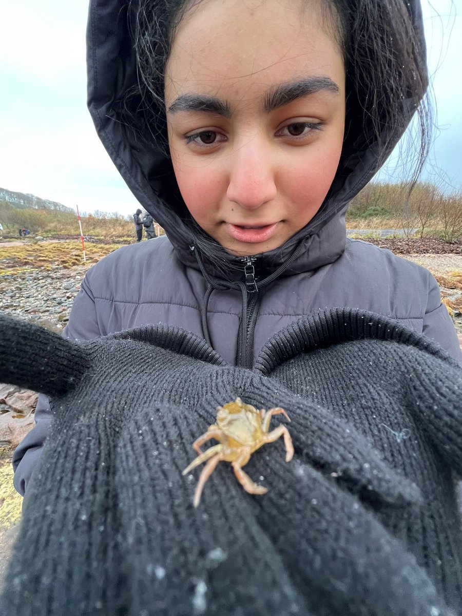 SPTA_HS's tweet photo. Another productive but very wet @FSCMillport-everyone hard at work before the tide comes in at White Bay collecting their samples 🐚🦐🪸🦀🌊#ecology #investigations #barnacles #periwinkles #seaweed #limpets #dogwhelks #hermitcrabs https://t.co/ly9ru2UM0R