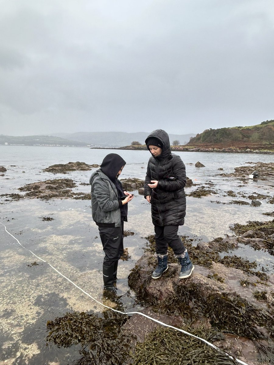 SPTA_HS's tweet photo. Another productive but very wet @FSCMillport-everyone hard at work before the tide comes in at White Bay collecting their samples 🐚🦐🪸🦀🌊#ecology #investigations #barnacles #periwinkles #seaweed #limpets #dogwhelks #hermitcrabs https://t.co/ly9ru2UM0R