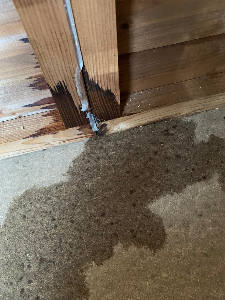 MunroCaron's tweet photo. @dunsterhouseltd So disappointed with our new £1600 shed from @dunsterhouseltd leaking from day one. Terrible customer service. Why are you selling sheds not fit for purpose?? https://t.co/Nj2RnuCEa8