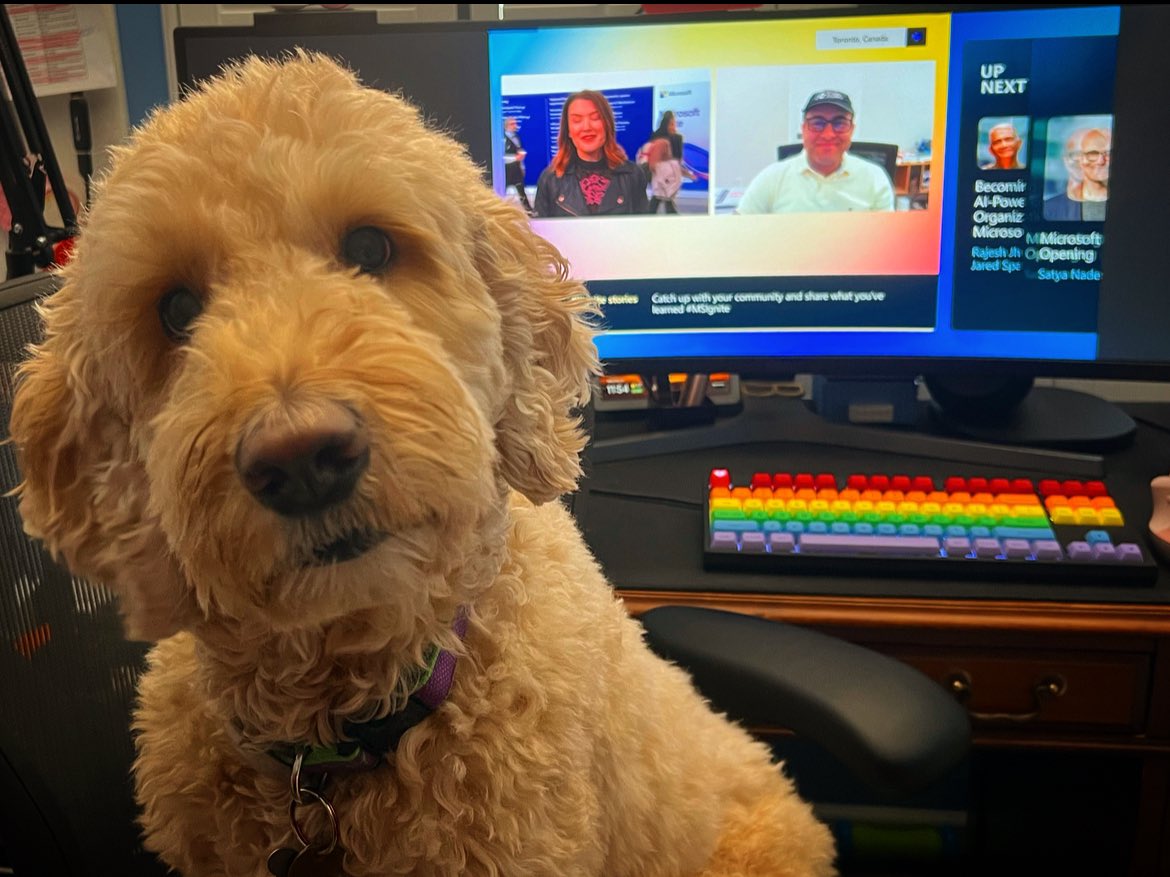 Counting down the minutes before #MSIgnite kicks off! I have the cutest “co-worker” who is watching with me. You can attend virtually for free too! Great to see #MVPBuzz <a href="/ehsaneskandarim/">Ehsan Eskandari ❤️ ☁️</a> on the live stream! Register and watch here:  msft.it/60109hfOK #AI #microsoftlife
