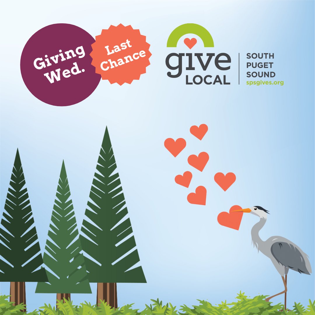 tcfsps's tweet image. 📣It’s Giving Wednesday! Donate $5+ on spsgives.org today for a chance to win $100 for a #GiveLocal2023 nonprofit of your choice. Donations made anonymously will not count towards the drawing, and winners will be contacted by Foundation staff by the end of the week.