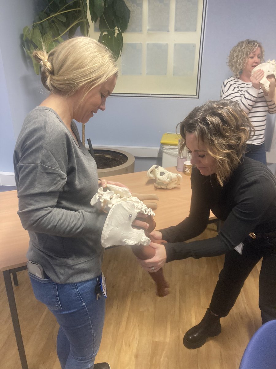 DrAngelaK's tweet photo. So excited to have welcomed @MidwifeSpillane to WUTH today for a fantastic Optibreech day with the maternity team. Thank you for a fabulous day #optibreech #physiologicalbreechbirth @SisterShawnRM @Shaw1Libby @optibreech @WUTHstaff https://t.co/es210O38ik