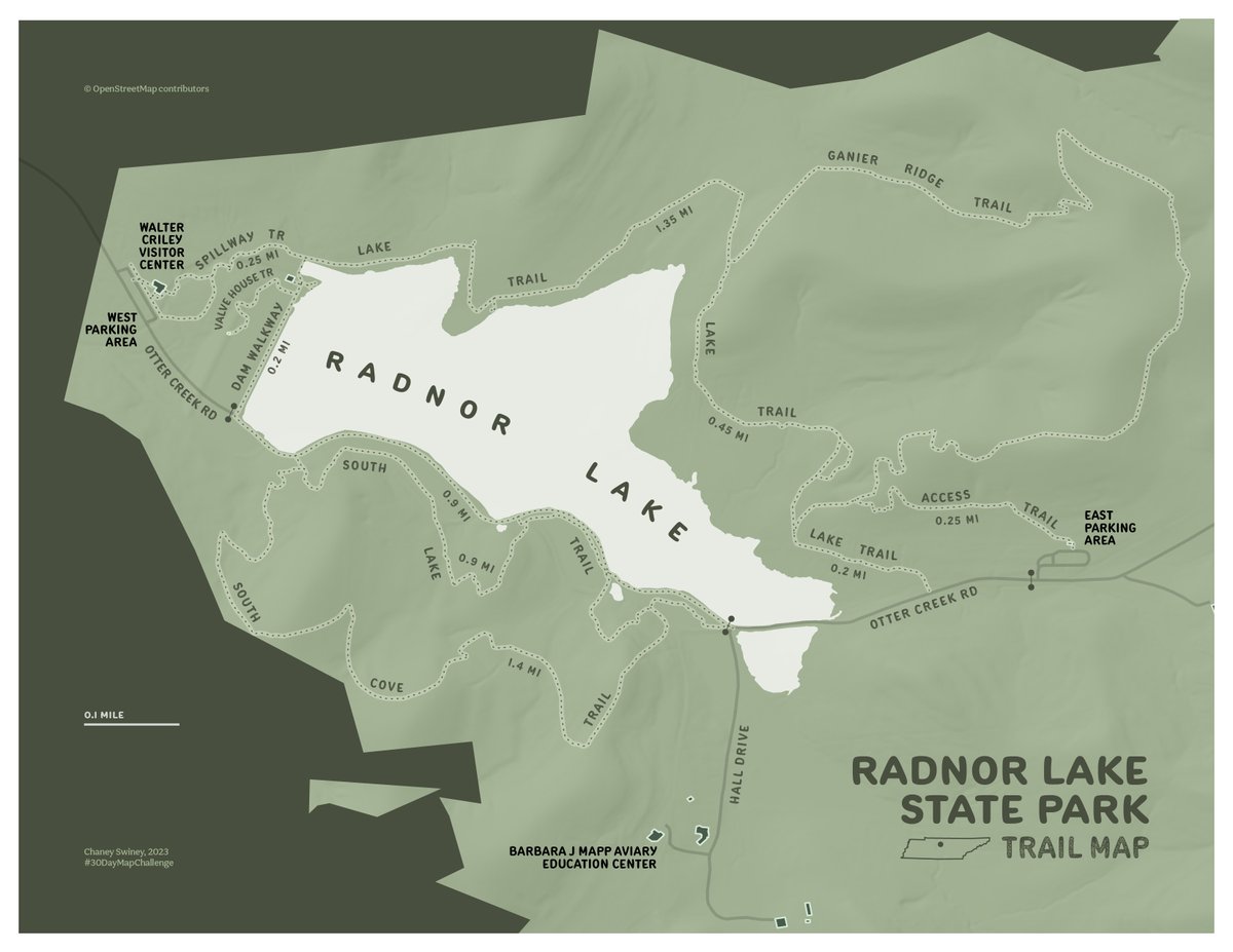 Chaney Swiney tweet media