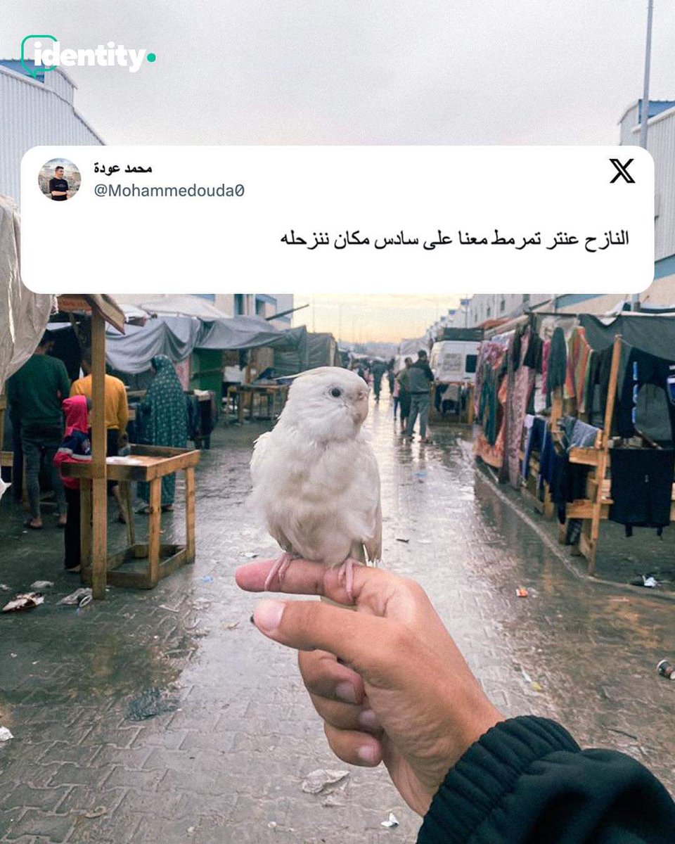 fatmanabillll's tweet photo. 🍉🦜 https://t.co/JcWUClv72Y