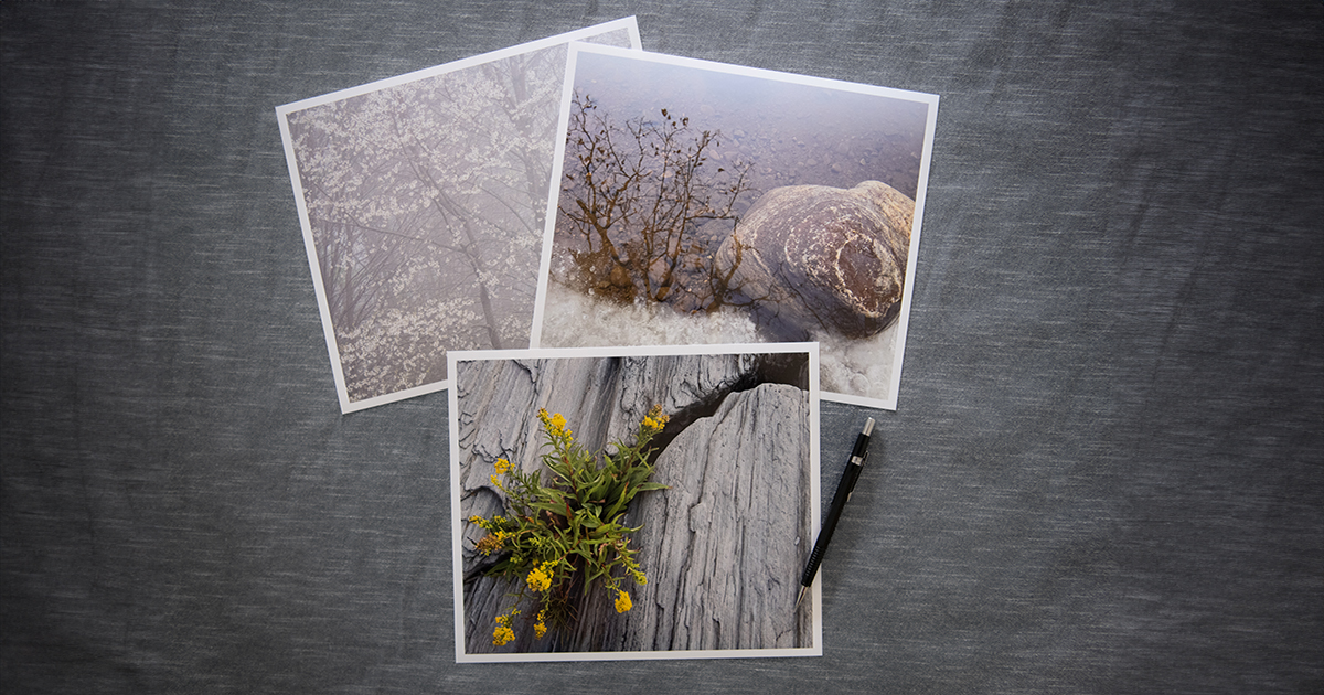 The 2024 edition of my annual Images of Wilderness wall calendar includes a Collector's Edition version which comes with an 8"x10" fine art print of your favorite month image! naturessakephoto.com/calendars