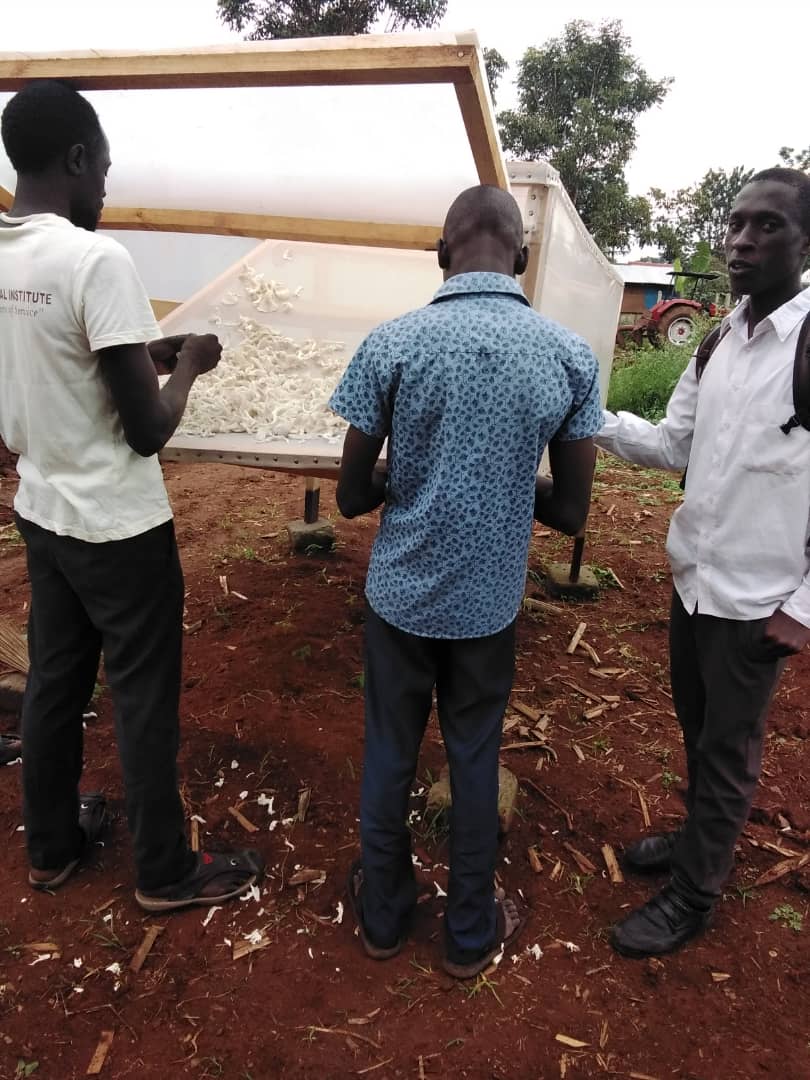 AgromushU's tweet photo. One month down the road after training prime vocational institute students on how to grow mushroom and now to see their fist ever production .let's spread mushroom growing to the world. https://t.co/JXOZqiJOMx