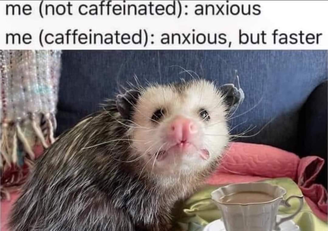 bipolar_memes's tweet photo. https://t.co/RSpA5SEjbw