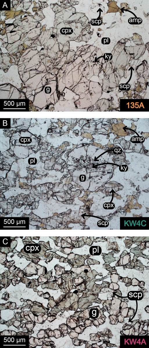 Caroline Lotout tweet media