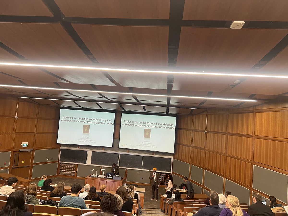 5th Canadian Wheat Symposium 2023 (@cws2023) on Twitter photo Kicking off Wheat Genetics, Genomics, and Breeding session 1 with keynote talk by <a href="/ugill10/">Upinder Gill</a> <a href="/rustpathology/">NDSU Plant Genetics & Rust Pathology</a> and <a href="/WheatSingh/">Harpinder S Randhawa 🌾</a> <a href="/analauraachilli/">Ana Laura Achilli</a> as session chairs #CWS2023 Kicking off Wheat Genetics, Genomics, and Breeding session 1 with keynote talk by <a href="/ugill10/">Upinder Gill</a> <a href="/rustpathology/">NDSU Plant Genetics & Rust Pathology</a> and <a href="/WheatSingh/">Harpinder S Randhawa 🌾</a> <a href="/analauraachilli/">Ana Laura Achilli</a> as session chairs #CWS2023