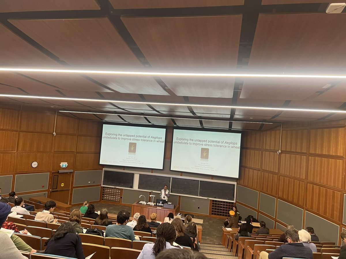 CWS2023's tweet image. Kicking off Wheat Genetics, Genomics, and Breeding session 1 with keynote talk by @ugill10 @rustpathology and @WheatSingh @analauraachilli as session chairs #CWS2023