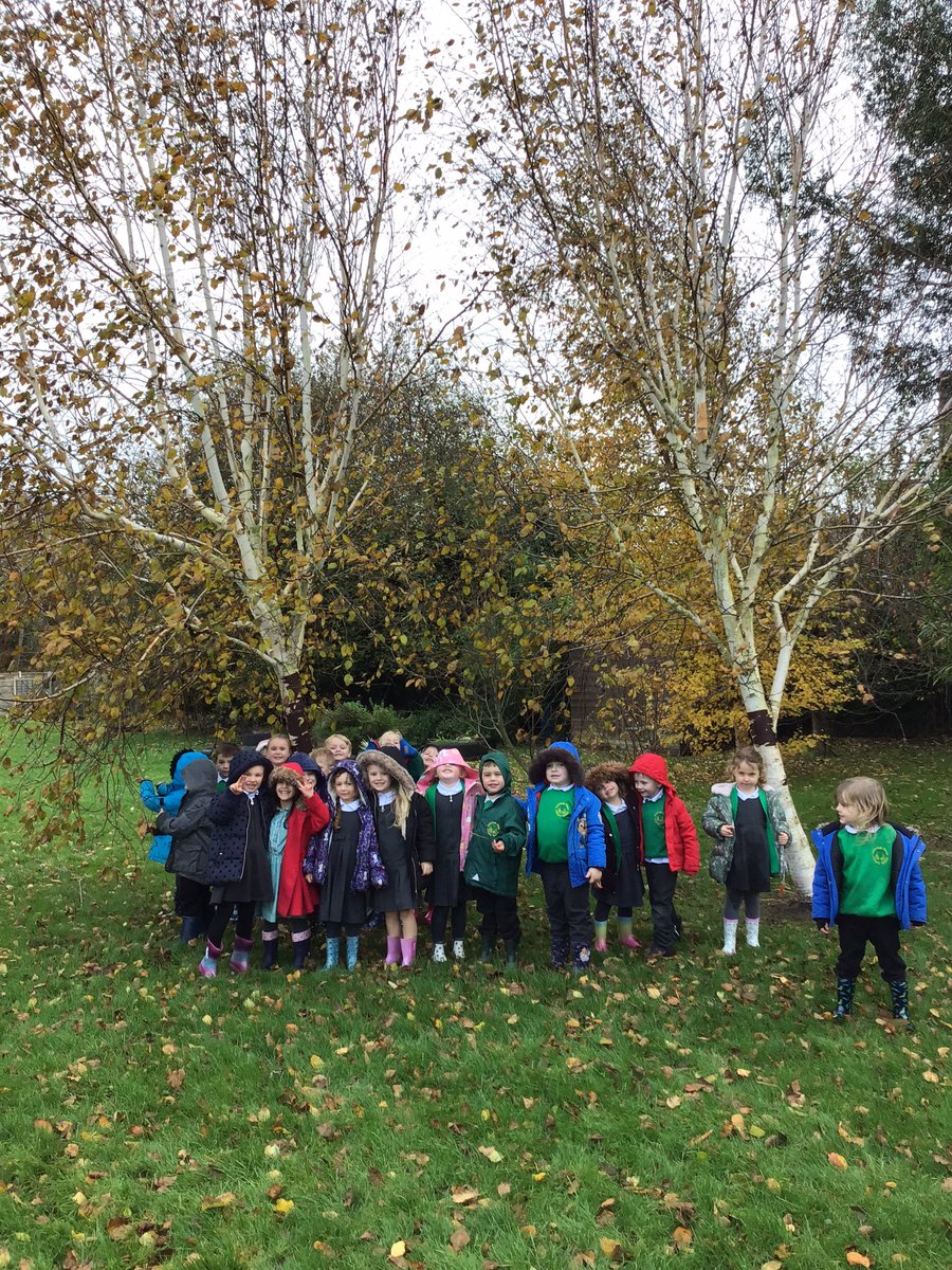 BVPSRecp's tweet photo. We went on our monthly visit to the forest to observe seasonal changes. #bvpseyfs #bvpsscience https://t.co/n7tdeF0oA6