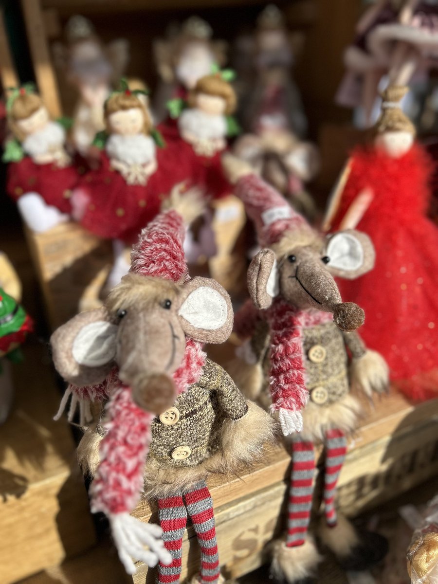 Gloucester Events tweet media