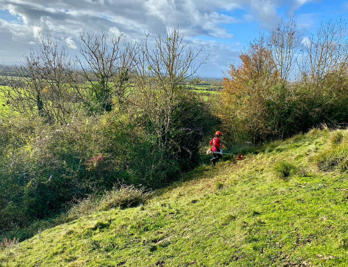 Somerset outdoor tweet media