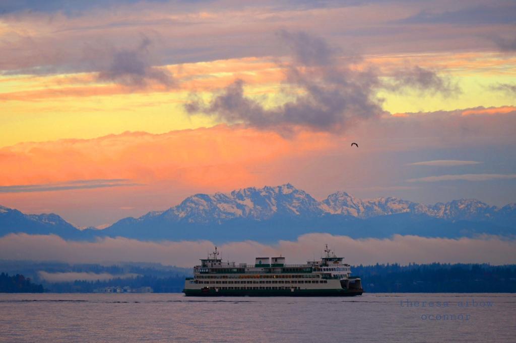 TheresaArbowOC's tweet image. Beautiful glow over the Olympics this morning ♡ @wsferries #pnw