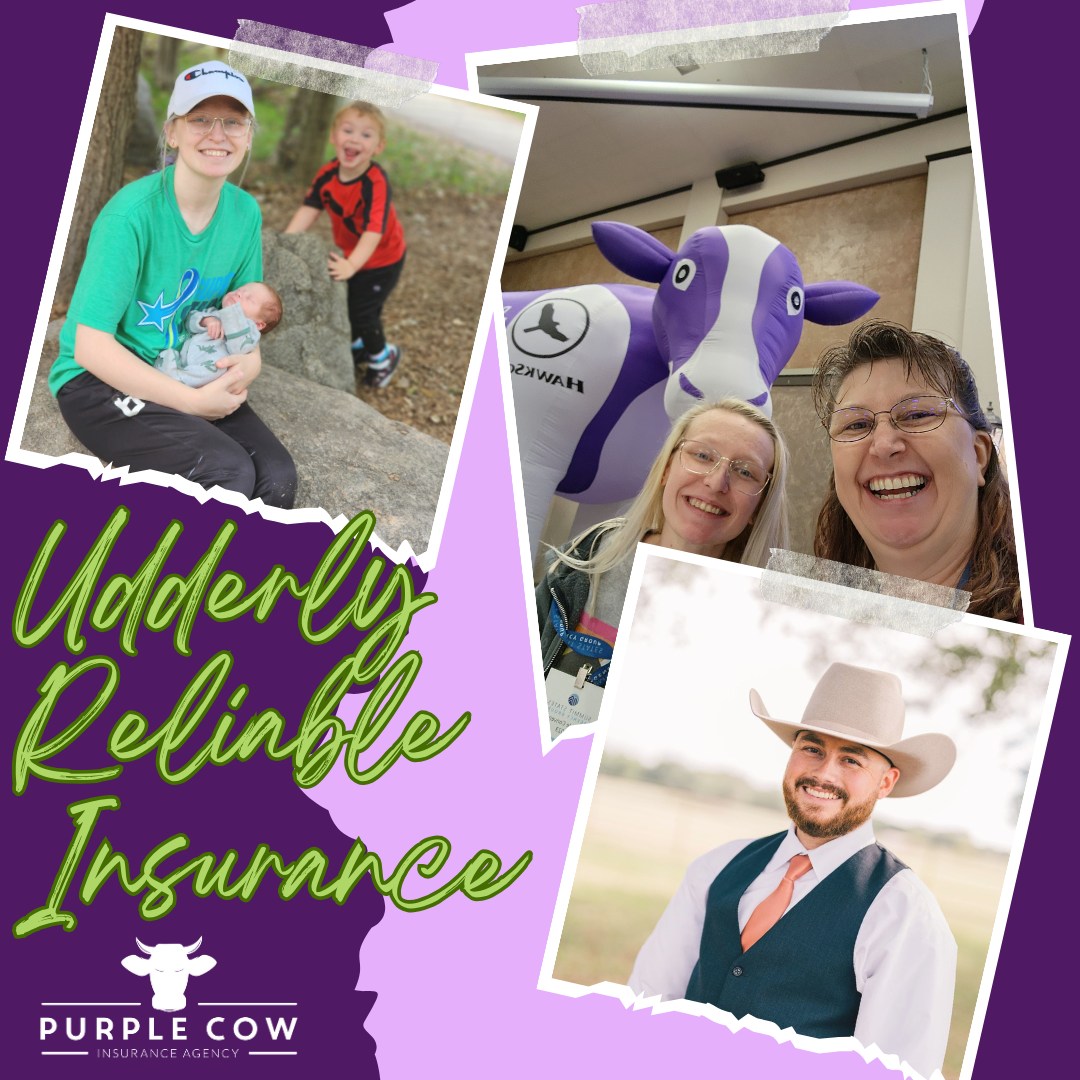 purplecowins's tweet image. Give us a call today to discuss your options! (406) 628-6649 #InsureMontana #MontanaInsurance #CarInsurance #HomeInsurance #FarmInsurance #RanchInsurance