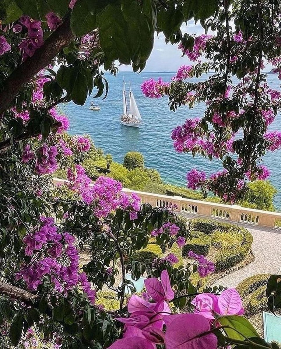 Lago Garda, Italia.
Foto de the_mirk en Instagram.
#italia #italy #lakegarda #lagogarda #europa