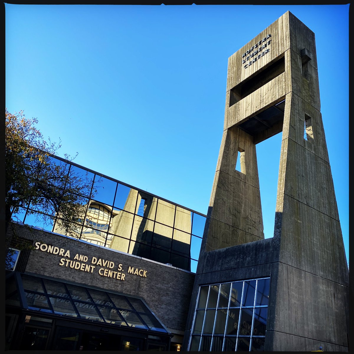 Tim Needles tweet media