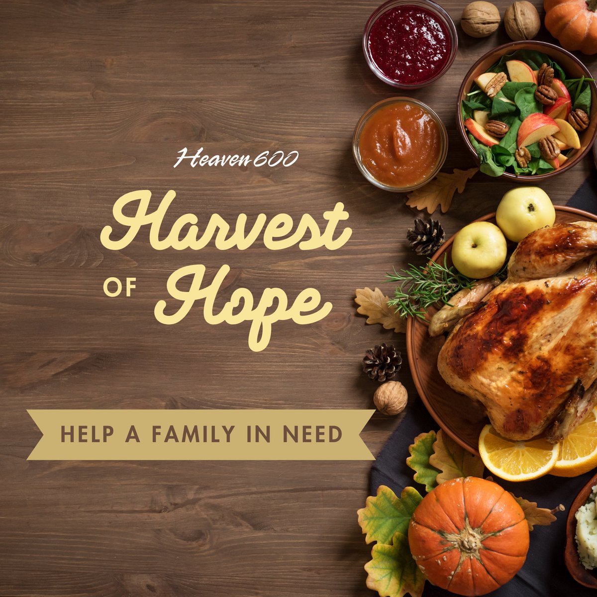 Heaven 600 tweet media