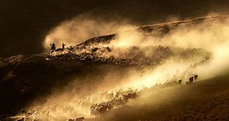 JerryatCOP21 tweet media