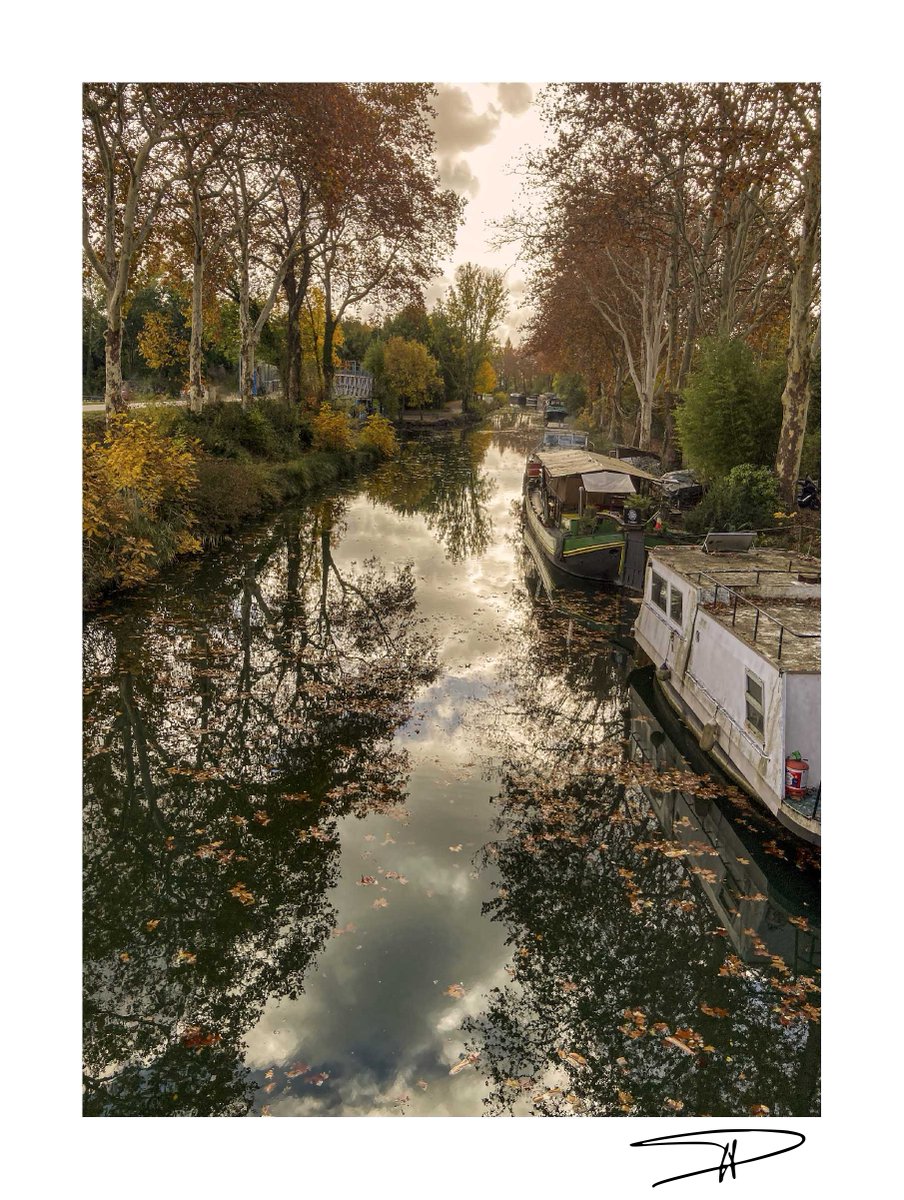 Canal miroir...
#Canaldumidi #Toulouse #Occitanie 
15 novembre 2023