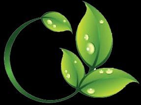 EmporiumHydro's tweet photo. Check out the roots of horticultural hydroponics with the coco!

https://t.co/Xe3V41ma1G https://t.co/3Wfd4DztFd