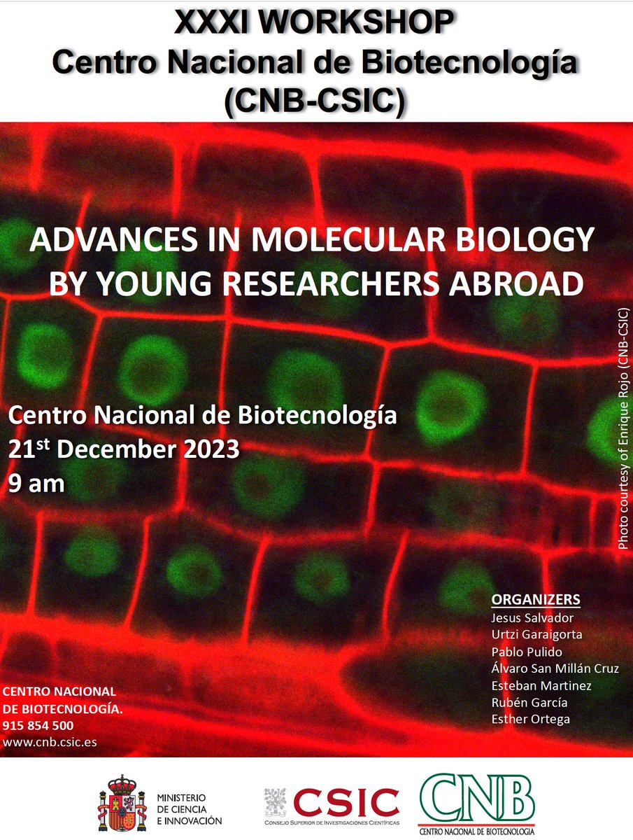vdlorenzo_CNB's tweet photo. Every Xmas season the @CNB_CSIC organizes a 1-day workshop for expat Spanish postdocs &amp; young PIs abroad willing to share what they are doing and widen their network of local colleagues. Also, a chance to survey the domestic job market 😅. Please email organizers if interested 👇 https://t.co/i6WJwE9d4A