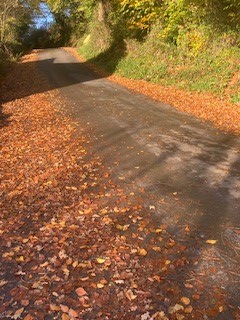 GarddEnfys's tweet photo. Beautiful blue skies today. Clearing leaves from the steep section of road near the garden, The leaves make this area extremely slippery and dangerous but leaving leaf mulch on the grass verges for a natural blanket for seeds, plants and insects over the cold winter months https://t.co/Jgeb2lt0it