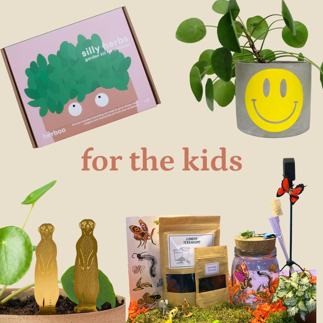 Shop these gifts and so many more for all kinds of plant lovers at shopgreenrooms.com ⁠
Shop our gift guide via link in bio ⁠
#giftideas #plantgift #houseplantgift