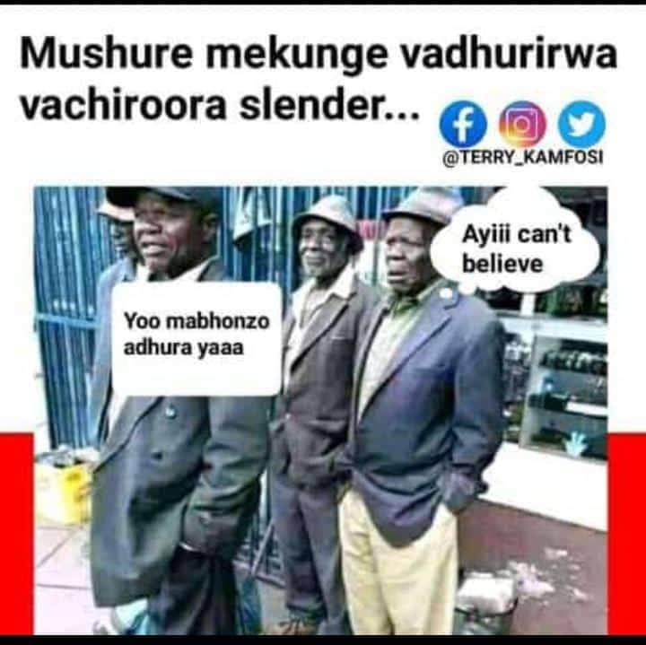 AdventureC72976's tweet photo. @M10087Mugabe @SengezoTsh17075 @nelsonchamisa @CccNap @chombo_mc21602 @CMukungunugwa @DenfordNgadzio1 @dhonzamusoro007 @marapira_farai @StaceyDzamara https://t.co/VB2JXoMJ5Z