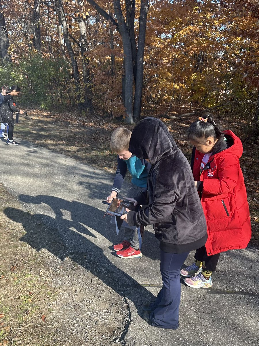 MrsSiegel2's tweet photo. 2nd grade scientists looking for evidence of weathering and erosion. #science @troyschools https://t.co/rpRXLaoWGl