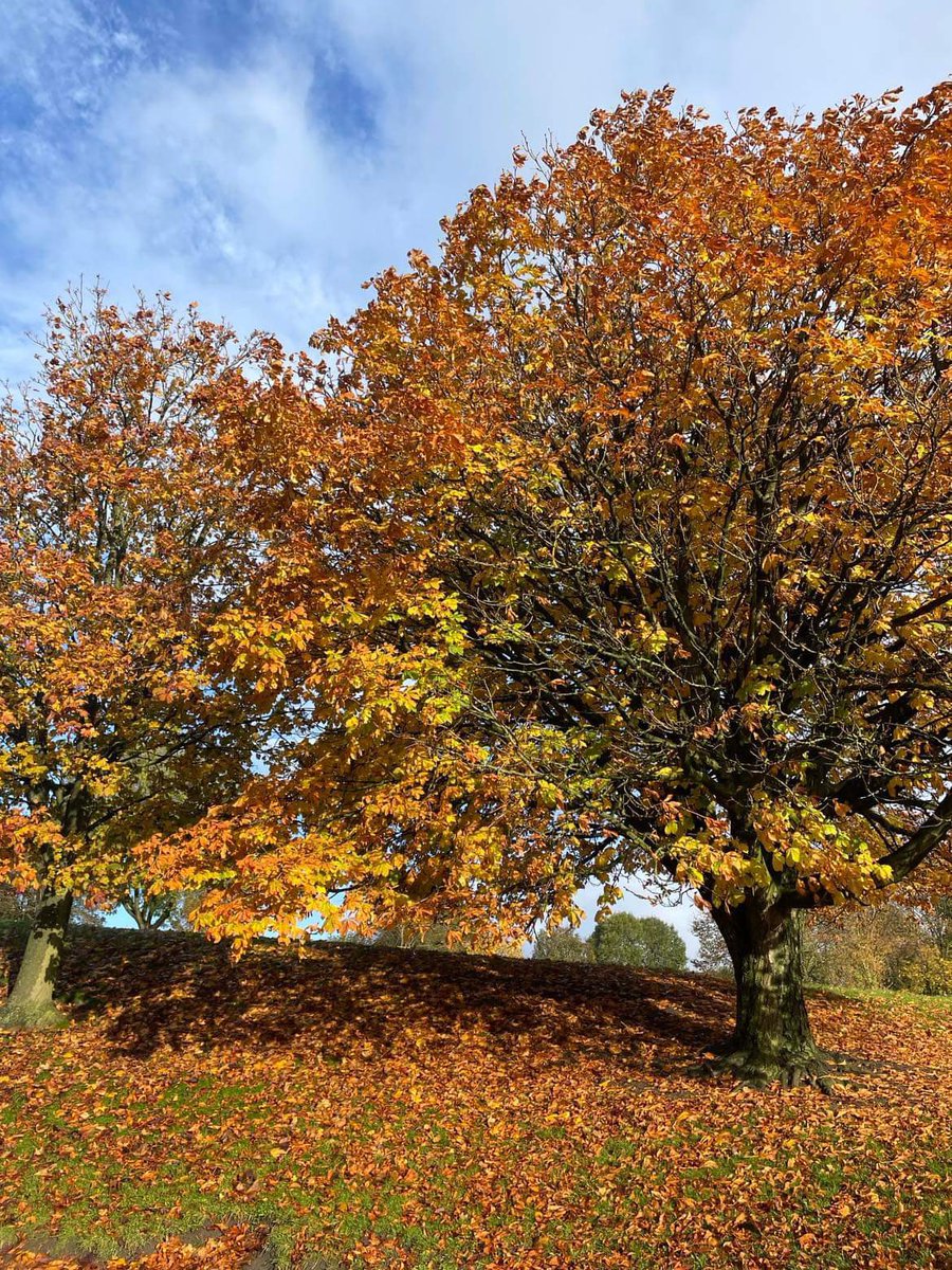 Adele Bealey tweet media