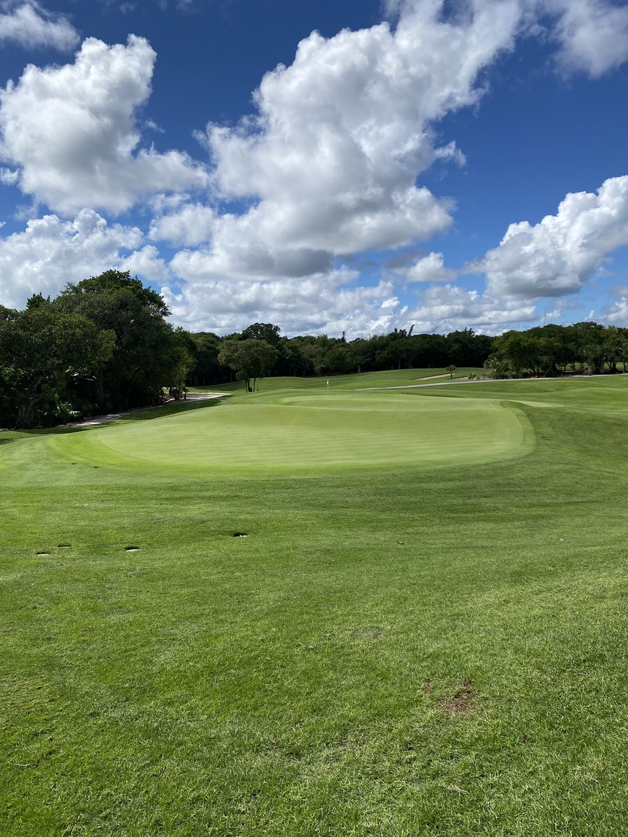pgaofcanada's tweet photo. The Head Professional Championship of Canada presented by @CallawayGolf gets underway tomorrow at 8:30

What. A. Venue 😍 @IBEROSTAR Playa Paraiso 

Full field list: https://t.co/MJPAKMa0x3 https://t.co/pVYWrmfzdj