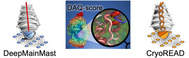 We will host a webinar on "Protein &amp; DNA/RNA Structure Modeling for Cryo-EM maps", on Nov 16, 2023 (Thr) 4PM (London) 11AM (New York) 8AM (California)
Will send a webinar link once you register:
docs.google.com/forms/d/e/1FAI…