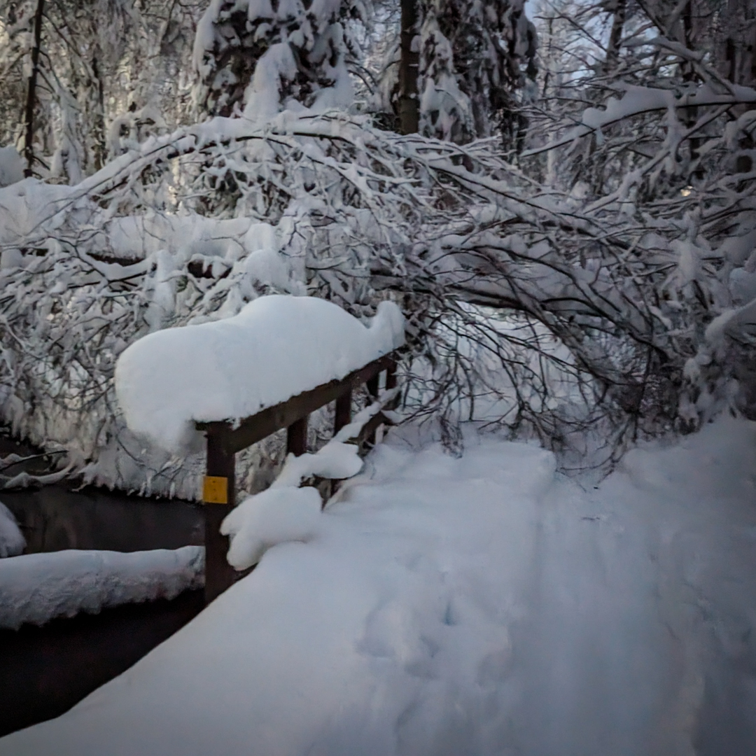 Anchorage Parks and Recreation tweet media