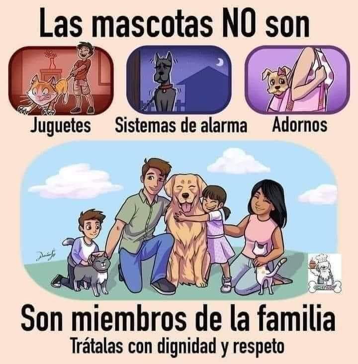 Sabueson's tweet photo. Así es https://t.co/sWFSF09hF8