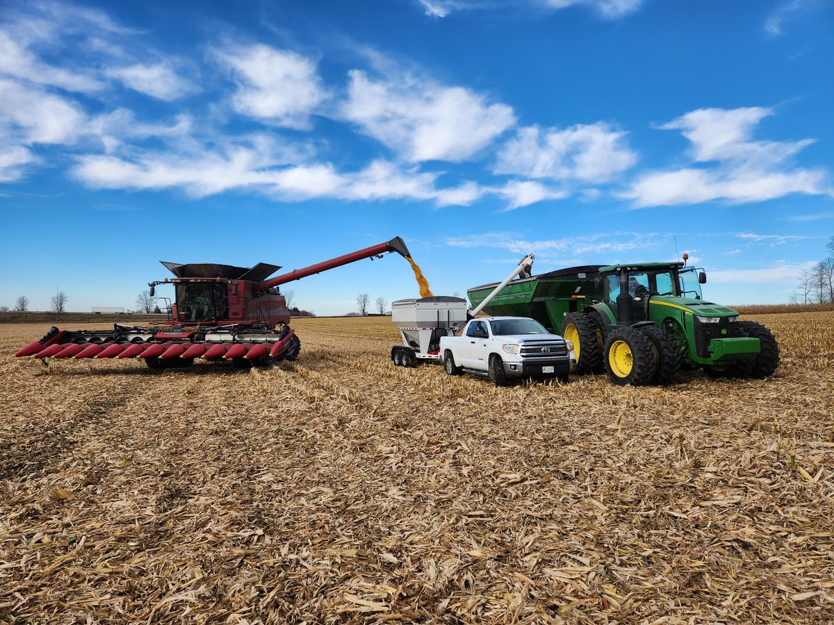 Another ALPINE corn plot in the books. Thanks <a href="/tractorbuff/">Kyle Rutherford</a> <a href="/HammertonJames/">James Hammerton</a> <a href="/AlpineWade/">Wade Graham</a> @Ag_McQueen <a href="/alpinepfl/">ALPINE</a>