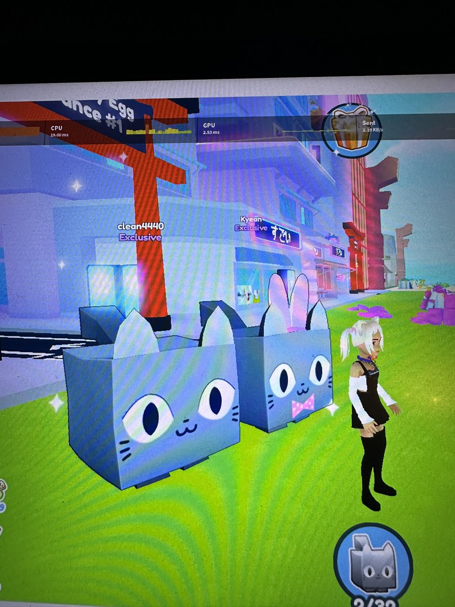 cat_mum_Kat's tweet image. Really hoping these 2 beauties are not duped 🤞 #PetSimulatorX