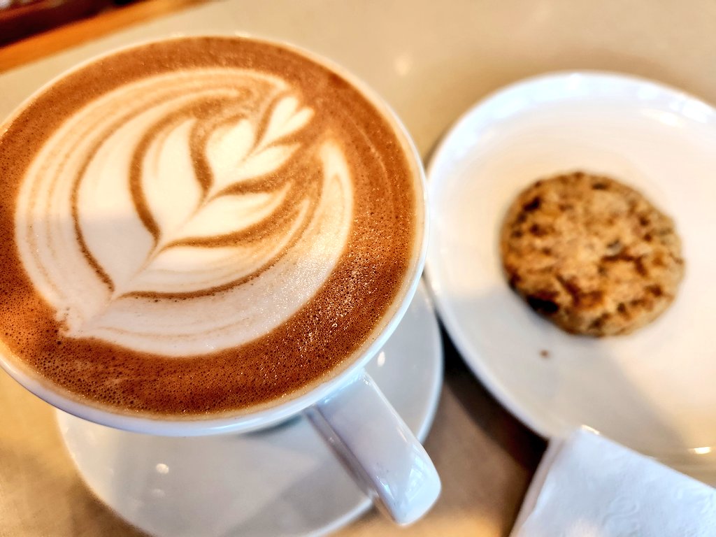 Megann Willson🪣 tweet media