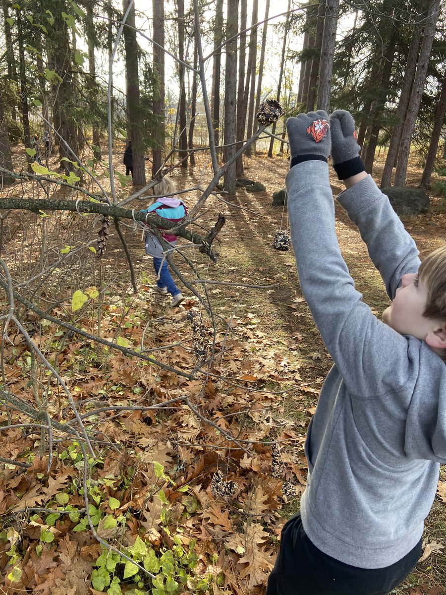 Pinecone exploration this week. Today we made bird feeders to hang in the Peace Park. The kids thought it was magic how the shortening made the seeds stick! Bucket filling activity 🥰 🌲🐦‍⬛🪶🌳 <a href="/BobcaygeonPS/">BobcaygeonPS</a>