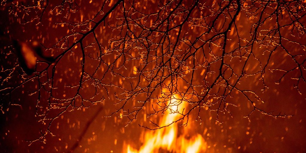 natuerlichjagd's tweet image. Vermutlich #Jagdgegner setzen einen #Hochsitz in einem Waldgebiet bei #Birkenheide in Rheinland-Pfalz in #Brand!
natuerlich-jagd.de/news/hochsitz-…