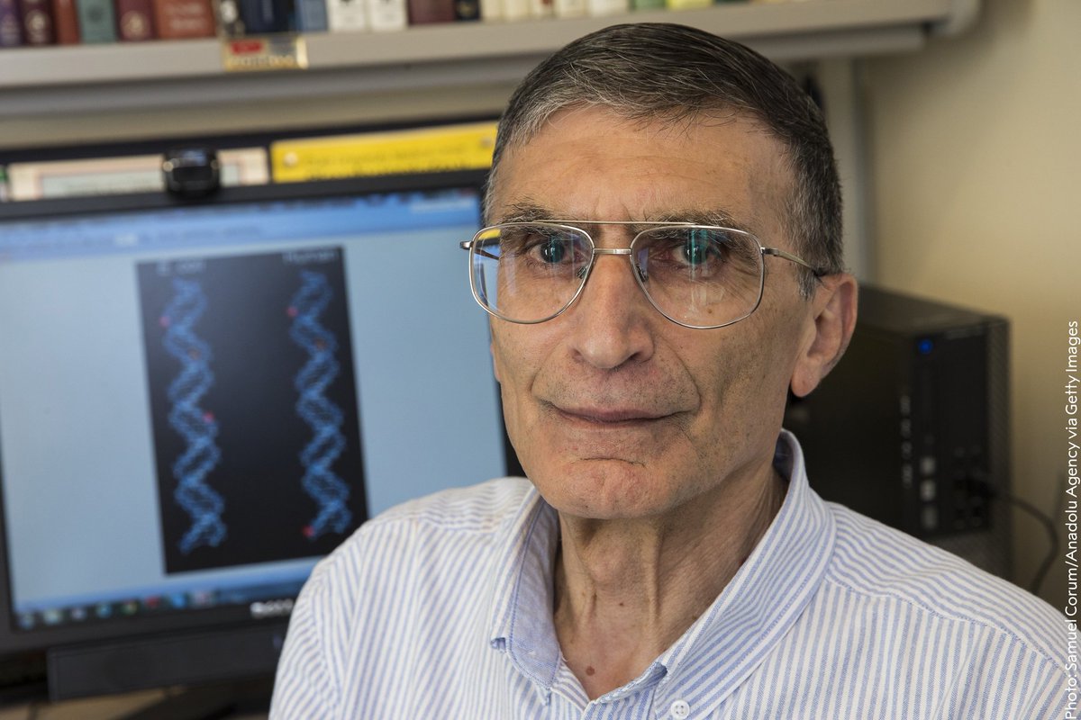 Did you know that all living things have DNA within their cells? Aziz Sancar, 2015 chemistry laureate, showed DNA damaged by UV light can be repaired with certain enzymes which gave researchers insight into cellular homeostasis.