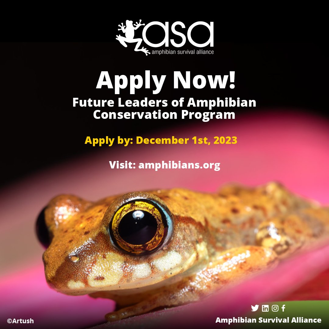 📢 Funding Opportunity Calling on all early career amphibian conservationists, researchers, and practitioners to apply for a fully funded opportunity to attend the 10th World Congress of Herpetology. Apply with the link below; amphibians.org/what-we-do/acr…