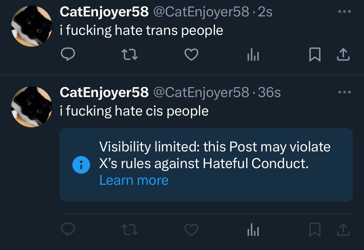 CatEnjoyer58's tweet image. interesting…