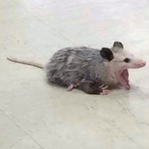 @NIGHTMAR3SHAWTY https://t.co/VgY09rEo6C<a class="tags" target="_blank" title="On Twitter" href="/?out=eyJ0eXAiOiJKV1QiLCJhbGciOiJIUzUxMiJ9.eyJpYXQiOjE3MjI1MzU2ODUsImlzcyI6InR3cG9ybnN0YXJzLmNvbSIsIm5iZiI6MTcyMjUzNTY4NSwiZXhwIjoxNzU0MDcxNjg1LCJyZWRpcmVjdF91cmwiOiJodHRwczovL3R3aXR0ZXIuY29tL05JR0hUTUFSM1NIQVdUWSJ9.7YMt6goLK2GpOGLuigYH6SPaTTVQ4WPeIRQcWeCSS0x9h_JqLDdSn9WmFYyPXaITSDIH1E-KbwpCwmpmAzB3eg">@NIGHTMAR3SHAWTY</a>