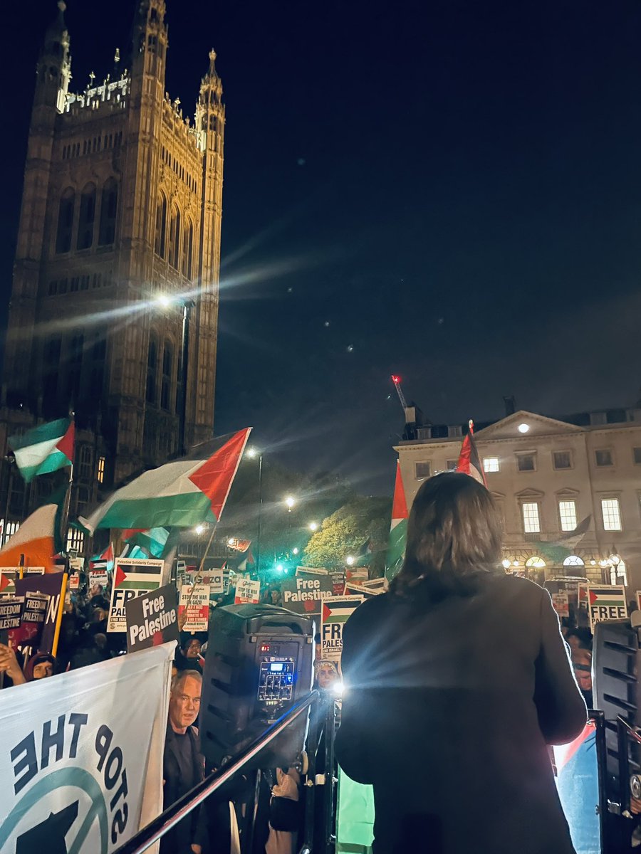 zarahsultana's tweet photo. I just told the Palestine solidarity demonstration outside Parliament:

I will vote for an immediate ceasefire tonight and I urge my colleagues to do the same.

We must not be complicit as more innocent people are killed. https://t.co/84y5SoWgAm