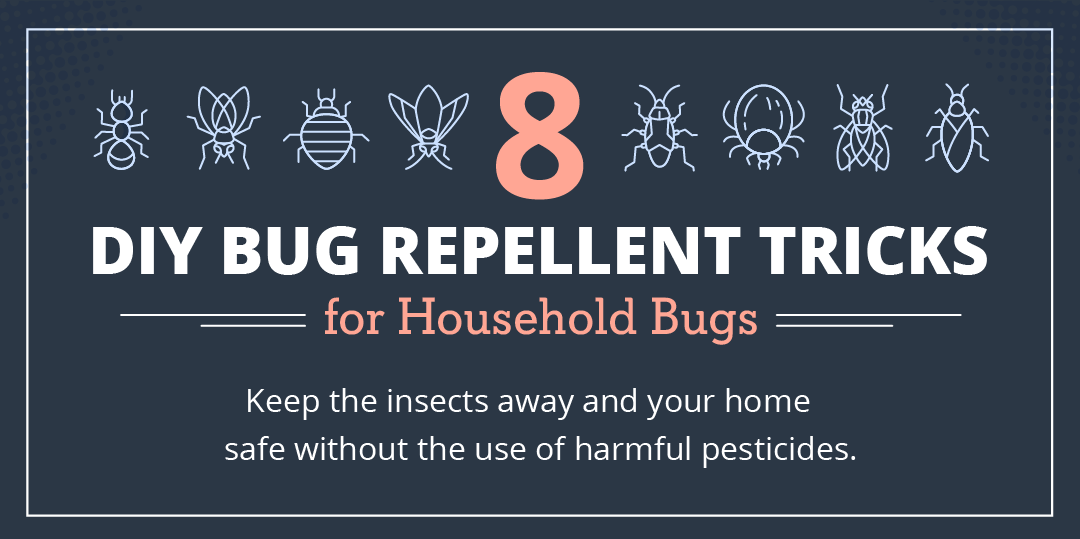 azbuilderszone's tweet photo. 8 DIY Bug Repellent Tricks for Household Bugs https://t.co/nuHQVY2UPp https://t.co/igRQ3EaxBm