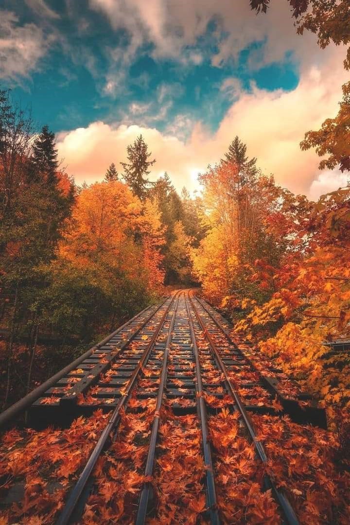 mymusicliveson's tweet photo. #MusicFamily>#GiveUpSum ๐๐ป >> #FallSection #2023 ๐๐ฝโ๏ธ๐ #Artists ๐งโ๐ค๐จโ๐ค>> >#Groups #Participating>>#InterestedIn>>#Your>>#Music๐ธ๐ต๐ถ >#Video ๐น >#Art >#BeingPlacedHere? >>#HitMeUp>>#DM @mymusicliveson
@RaySmithMOA
@PaulAddieMusic
@RoverDov123
@CodieWestwood
@ThePondHawks https://t.co/CnidbYd9Kb