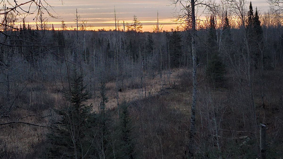 Out deer hunting in @UpperPeninsula. Opening morning is pretty magical